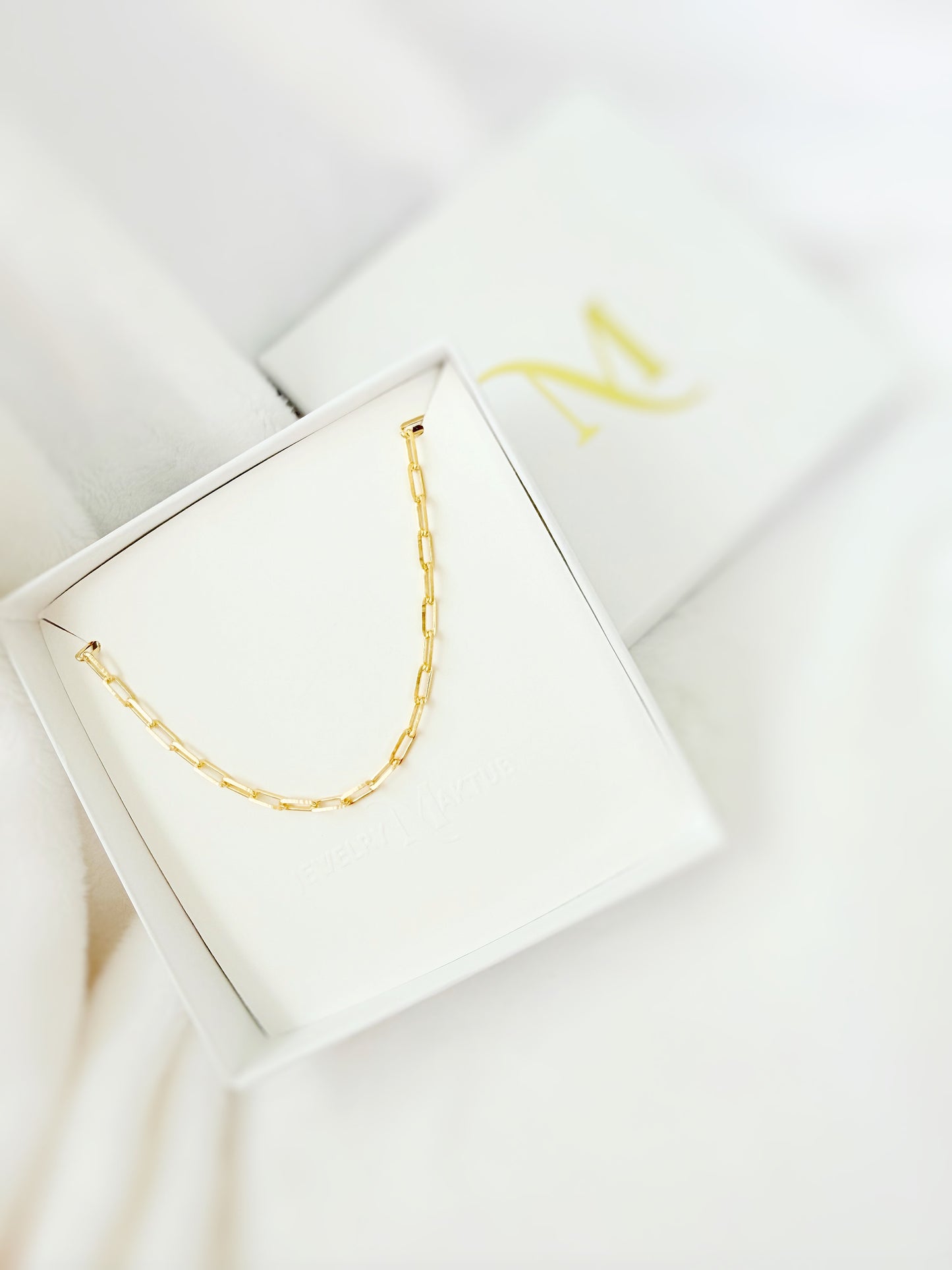 Paperclip Anklet