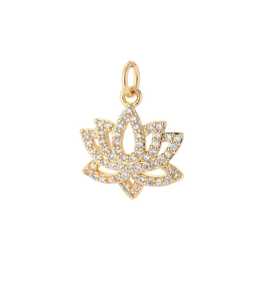 Lotus Flower