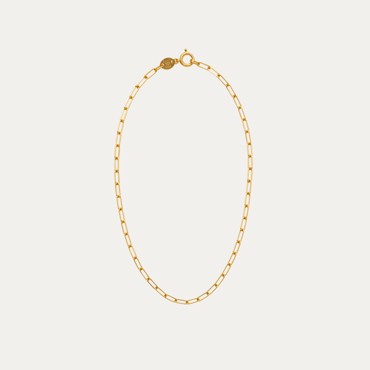 Paperclip Anklet