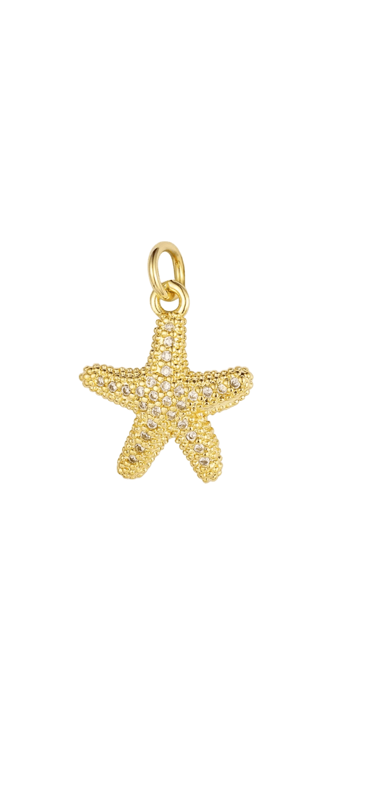 Beach Star - Jewelry Maktub LLC